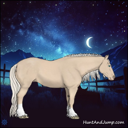 Horse Color:Cremello Tobiano