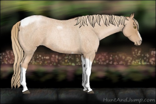 Horse Color:Red Roan Pearl Tobiano Frame 