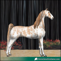 Horse Color:Chestnut Sabino