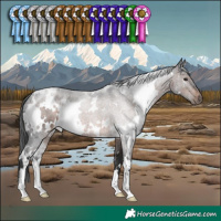 Horse Color:White Spotted Brown 