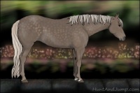 Horse Color:Silver Black 