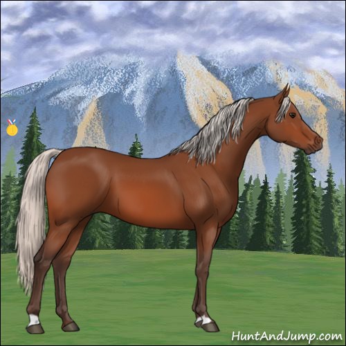 Horse Color:Silver Bay 