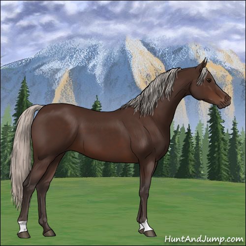 Horse Color:Silver Brown