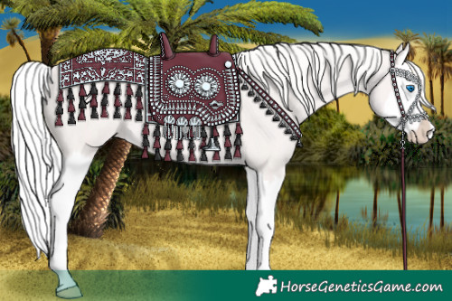 Horse Color:Cremello Splash
