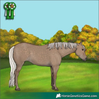 Horse Color:Silver Grullo 