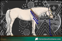 Horse Color:Cremello 