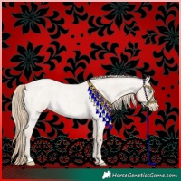 Horse Color:Smoky Creme Roan 