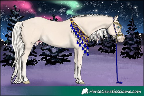 Horse Color:Cremello 