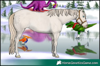 Horse Color:Smoky Creme Roan