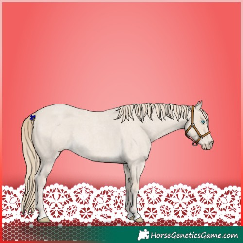 Horse Color:Smoky Creme Roan 