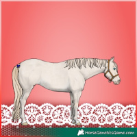 Horse Color:Smoky Creme Roan 