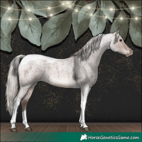 Horse Color:Silver Brown Roan Tobiano 