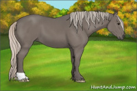 Horse Color:Silver Black 