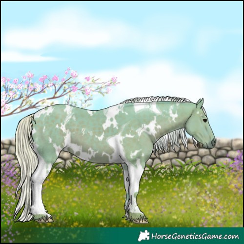 Horse Color:Watercolor White Spotted Silver Black Tobiano 