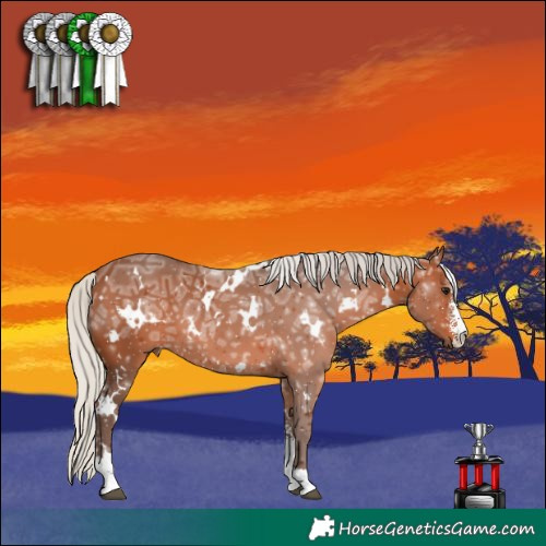 Horse Color:White Spotted Silver Brown Ice Sabino 