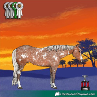 Horse Color:White Spotted Silver Brown Ice Sabino