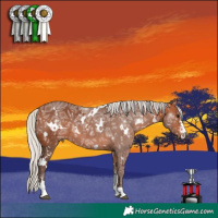 Horse Color:White Spotted Silver Brown Ice Sabino 