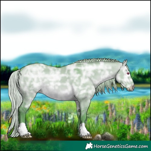 Horse Color:Watercolor Silver Brown Chinchilla Ice Dun 