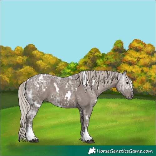 Horse Color:White Spotted Silver Black Ice Sabino 