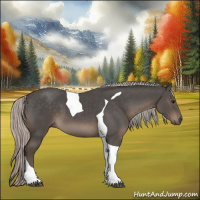 Horse Color:Silver Black Tobiano