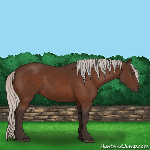 Horse Color:Silver Brown 