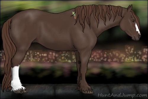 Horse Color:Liver Chestnut