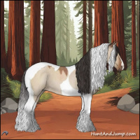 Horse Color:Bay Roan Dun Tobiano 