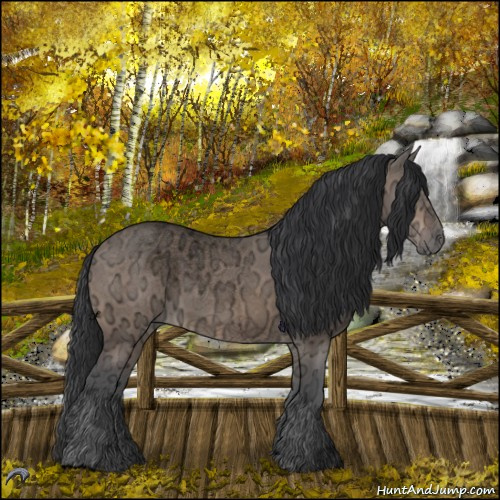 Horse Color:Void Bay Ice Roan Dun 