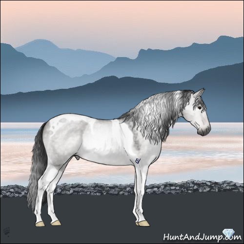 Horse Color:Gray Platinum Brown Roan Dun Tobiano 