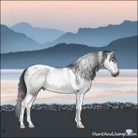 Horse Color:Gray Platinum Brown Roan Dun Tobiano 