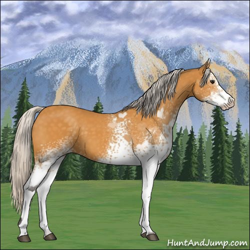 Horse Color:White Spotted Silver Buckskin 