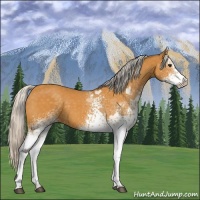 Horse Color:White Spotted Silver Buckskin 