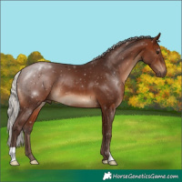 Horse Color:Silver Brown 