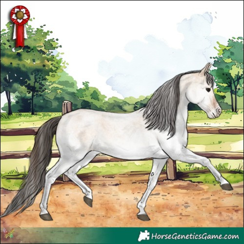 Horse Color:White Spotted Bay Roan Dun 