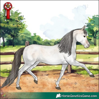 Horse Color:White Spotted Bay Roan Dun 