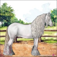Horse Color:Smoky Grullo Appaloosa 
