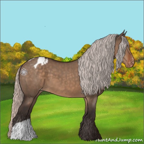 Horse Color:Silver Brown Dun Blanket 