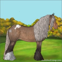 Horse Color:Silver Brown Dun Appaloosa 