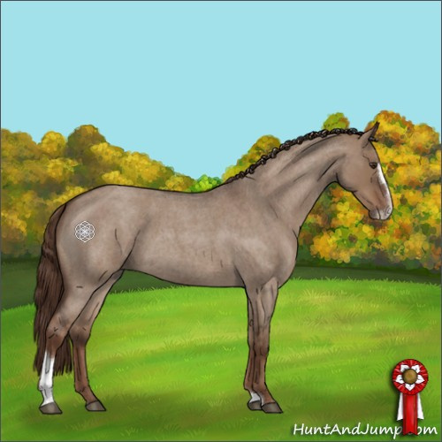 Horse Color:Liver Red Dun Roan Sabino 