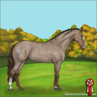 Horse Color:Liver Red Dun Roan Sabino 