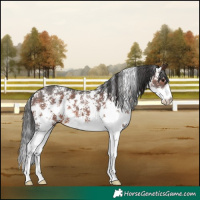 Horse Color:Brown Sabino