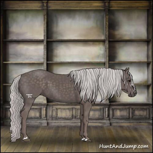 Horse Color:Platinum Silver Black 