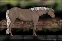 Horse Color:Silver Black 