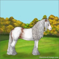 Horse Color:White Spotted Silver Bay Splash 