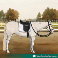 Horse Color:Smoky Creme 