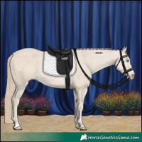 Horse Color:Smoky Creme 