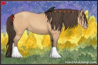 Horse Color:Amber Champagne 