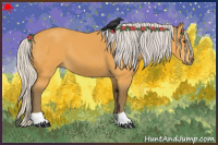 Horse Color:Silver Buckskin 