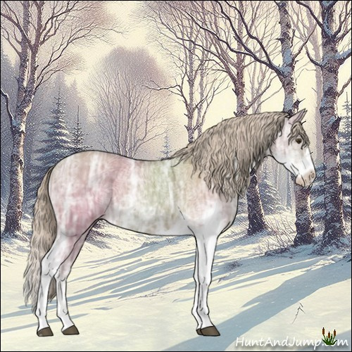 Horse Color:Chocolate Palomino Ice Dun Sabino Rabicano