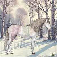 Horse Color:Chocolate Palomino Ice Dun Sabino Rabicano 